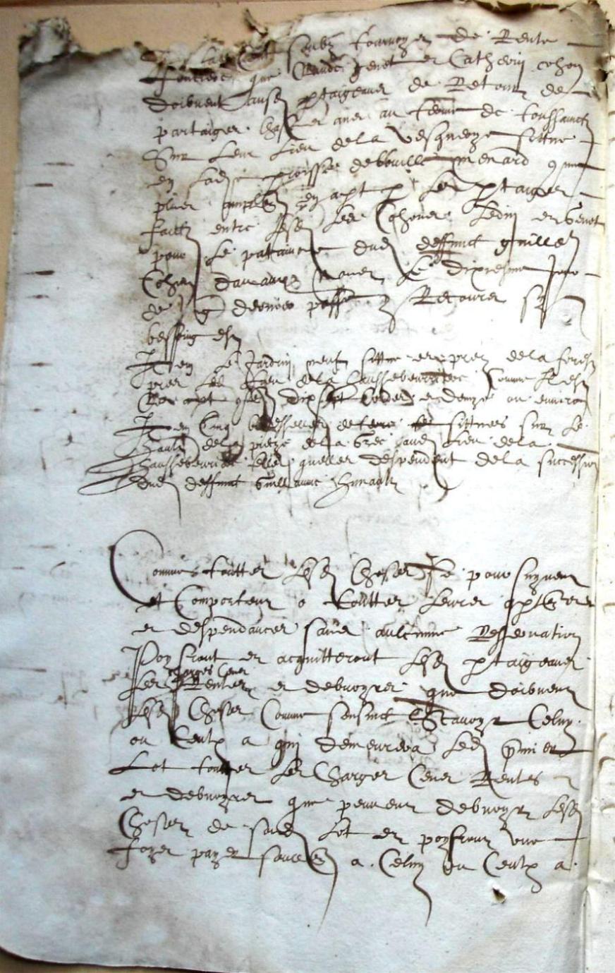 Cohon-G_1615 (12).JPG